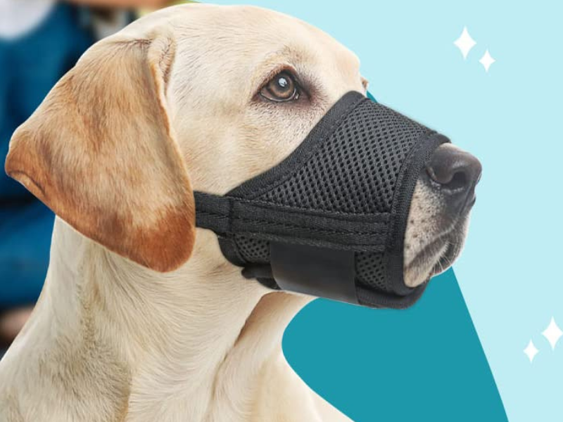 HEELE Dog Muzzle