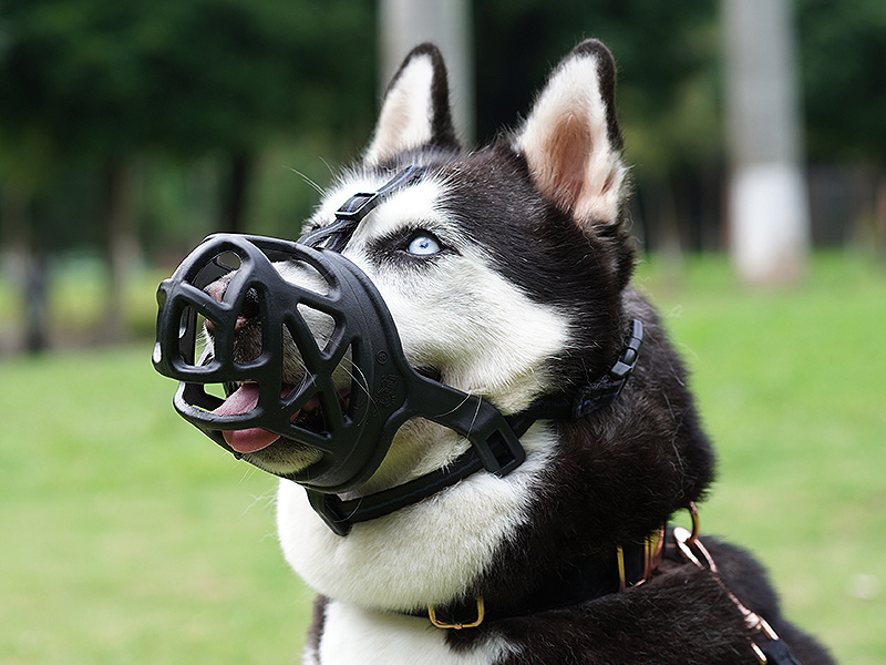 Mayerzon Breathable Basket Muzzle