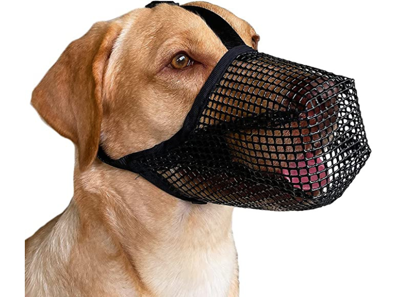 Mayerzon Dog Muzzle