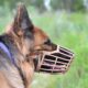 Dog Muzzles